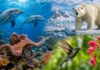 20 de curiozități fascinante despre animale: rechini de 400 de ani, meduze nemuritoare și caracatițe care se strecoară prin spații minuscule